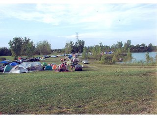 Property photo 59 - LAND AUCTION, 169+/- Acres offered in 6 Tracts, 77+/- Acres Quality Farmland